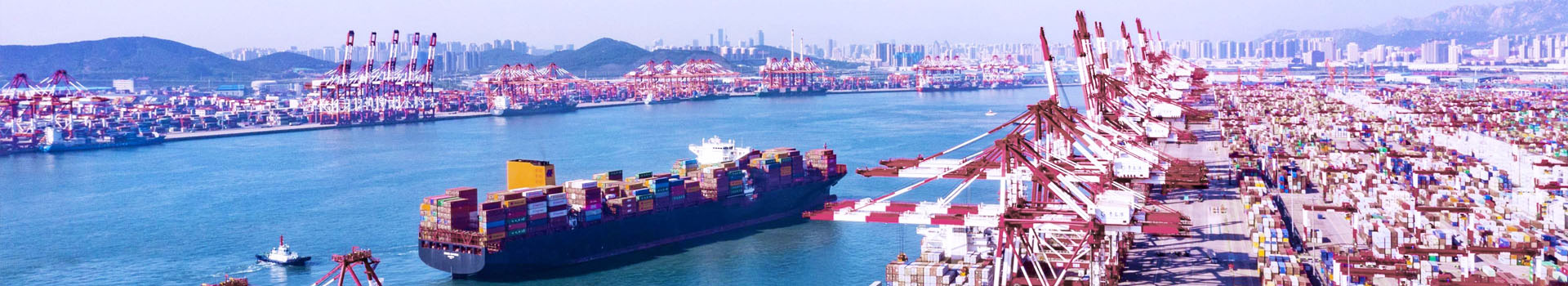 高強度卸扣和普通卸扣怎么區分？_了解起重鉗_新聞動態_起重鉗,鋼板起重鉗,吊裝鉗,鋼板鉗,起重吊裝鉗-辰力集團有限公司